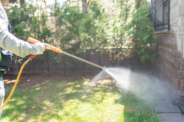 Best Spider Control  in Heidelberg, PA